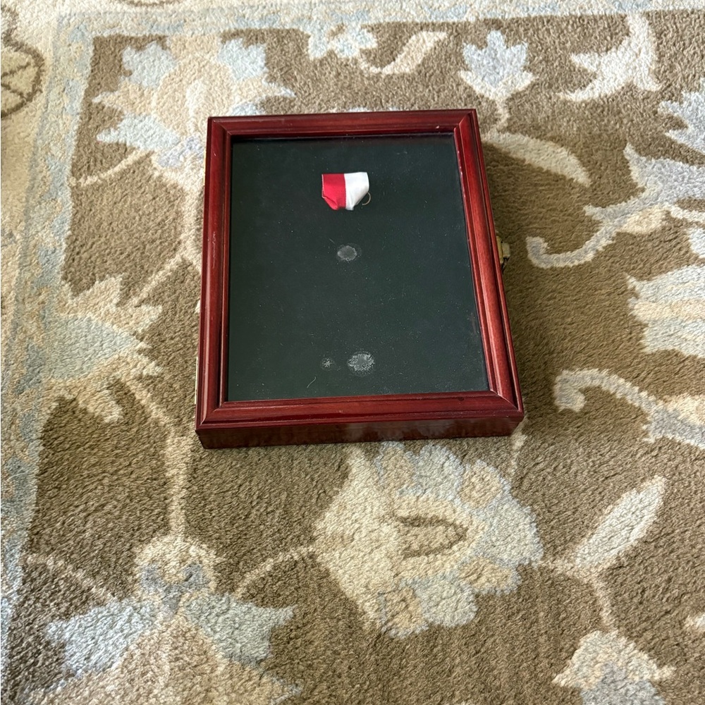 Wood Display Award Shadow Box Famous “SFDisplay” UV Protection